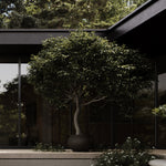 101 Copenhagen - Urchin Plant Pot, Big - Coffee - Outdoor