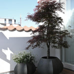 101 Copenhagen - Arket Plant Pot, Medio - Dark Grey - Plant Pot