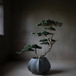 101 Copenhagen - Arket Plant Pot, Medio - Dark Grey - Plant Pot