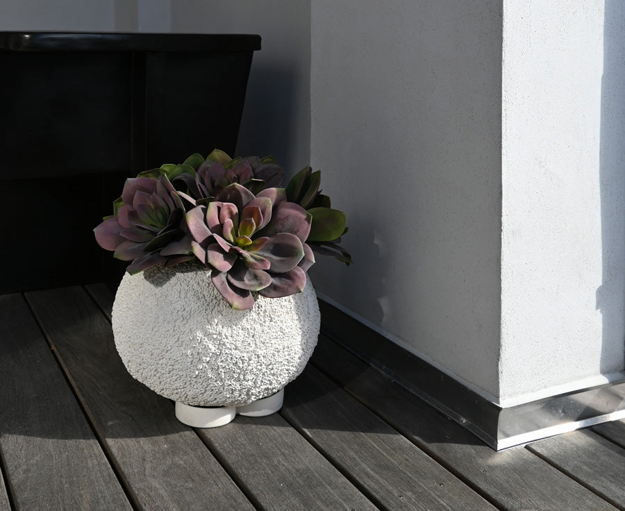 101 Copenhagen Urchin Plant Pot Beehive with Succulents