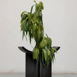 101 Copenhagen - Brutus Stool - Coffee - Stool