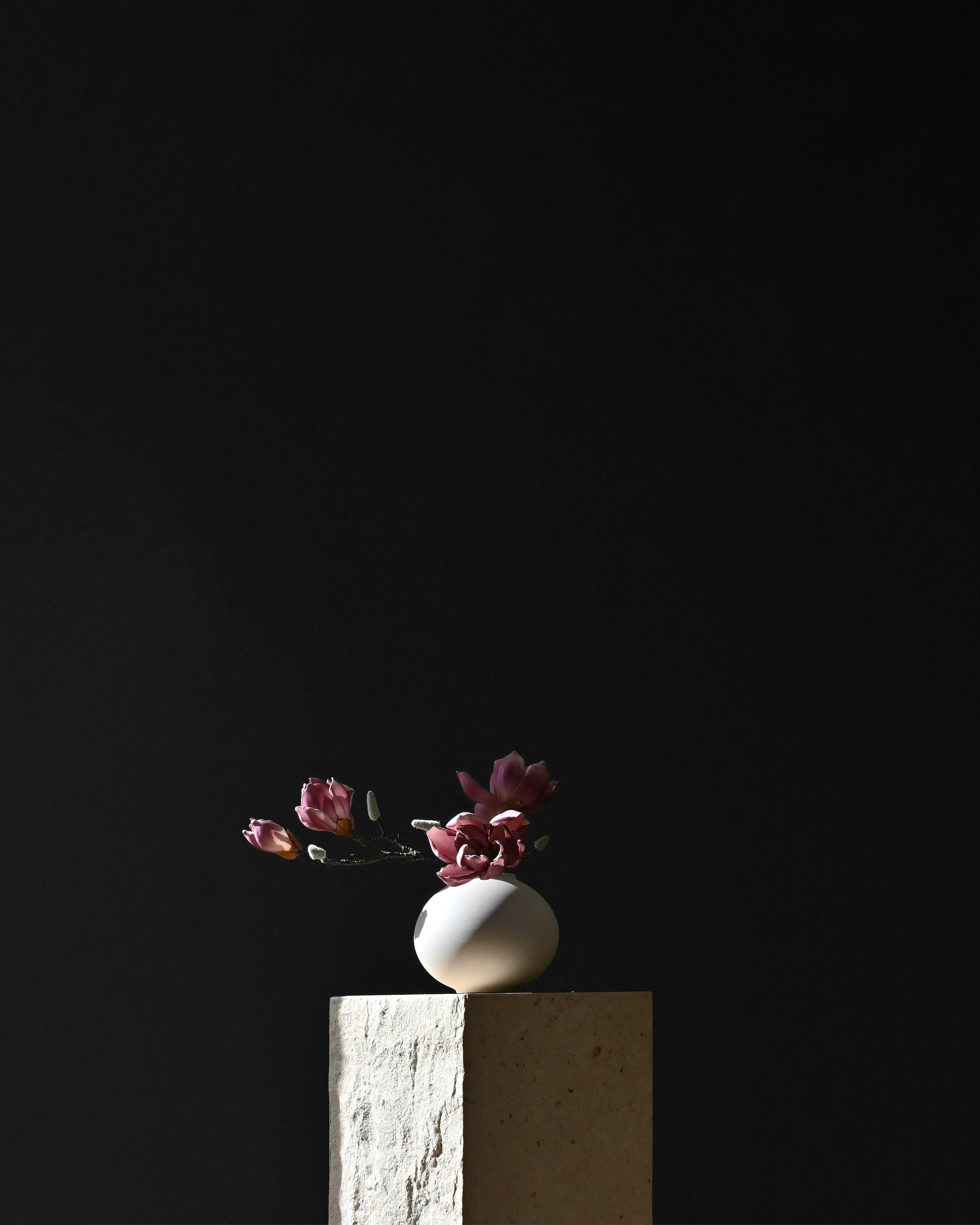 101 Copenhagen - Sunao Vase Fat, Petit - Birch - Vase