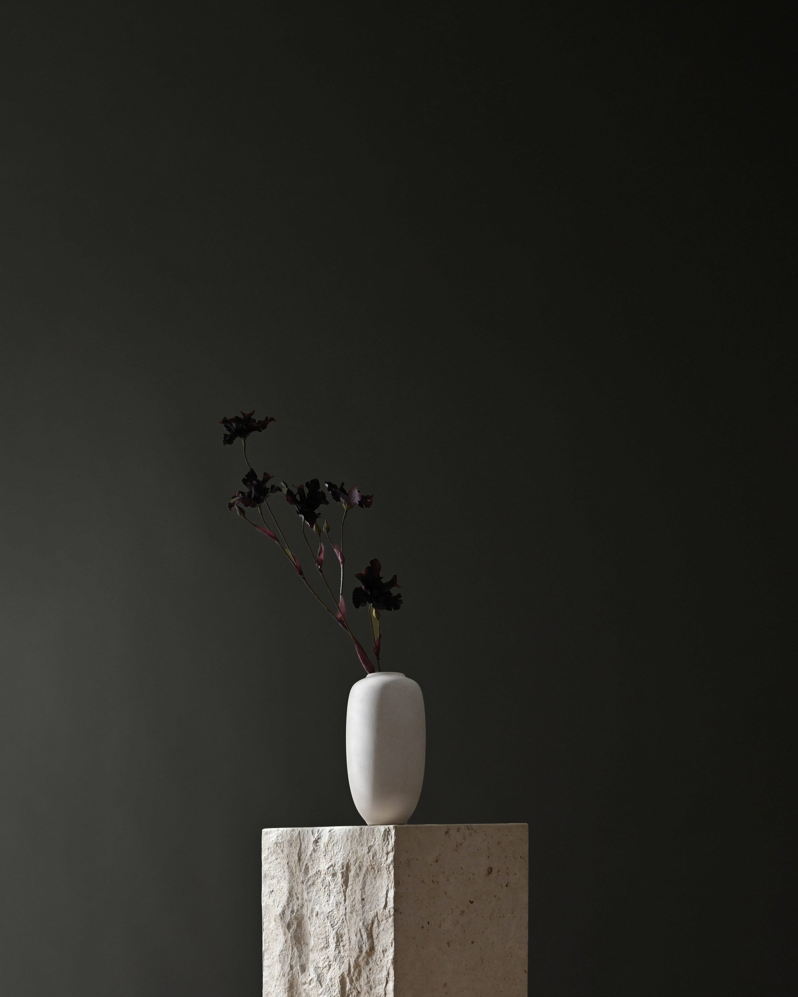 101 Copenhagen - Sunao Vase Slim, Petit - Birch - Vase