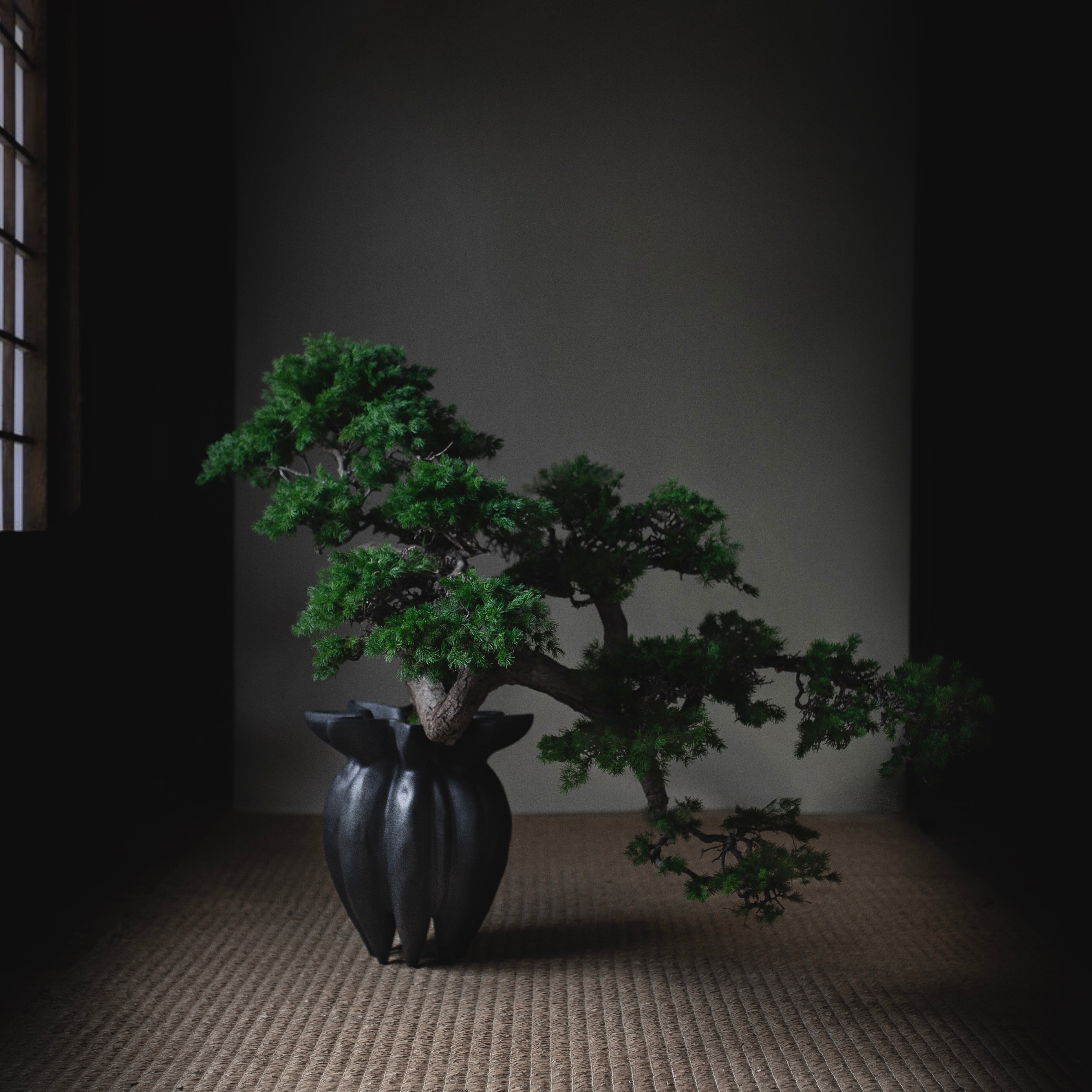 101 Copenhagen - Lotus Vase, Mini - Coffee - Vase