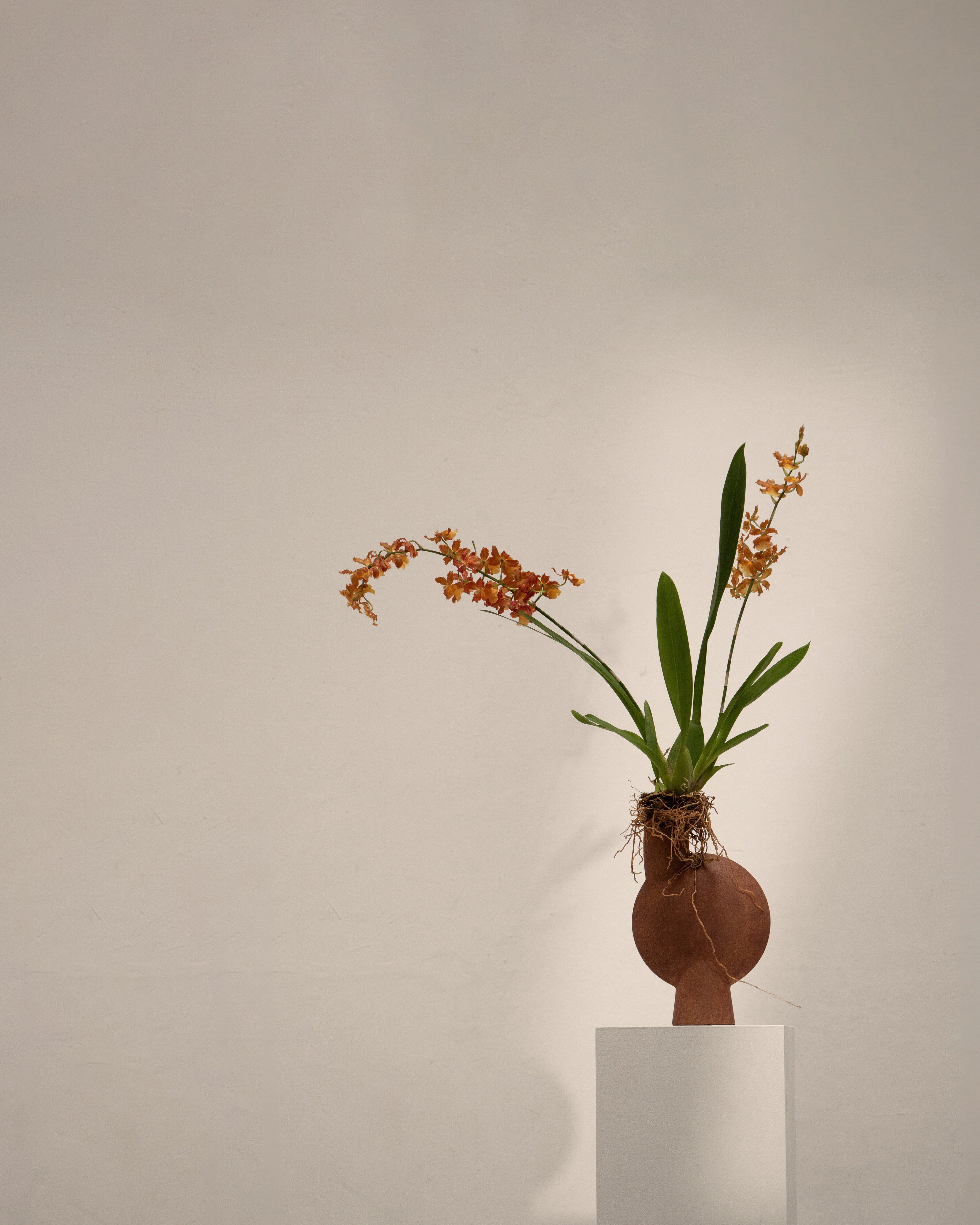 101 Copenhagen - Sphere Vase Bubl, Medio -Terracotta - Vase