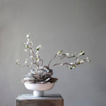 101 Copenhagen - Baburu Bowl, Medio - Bone White - Bowl