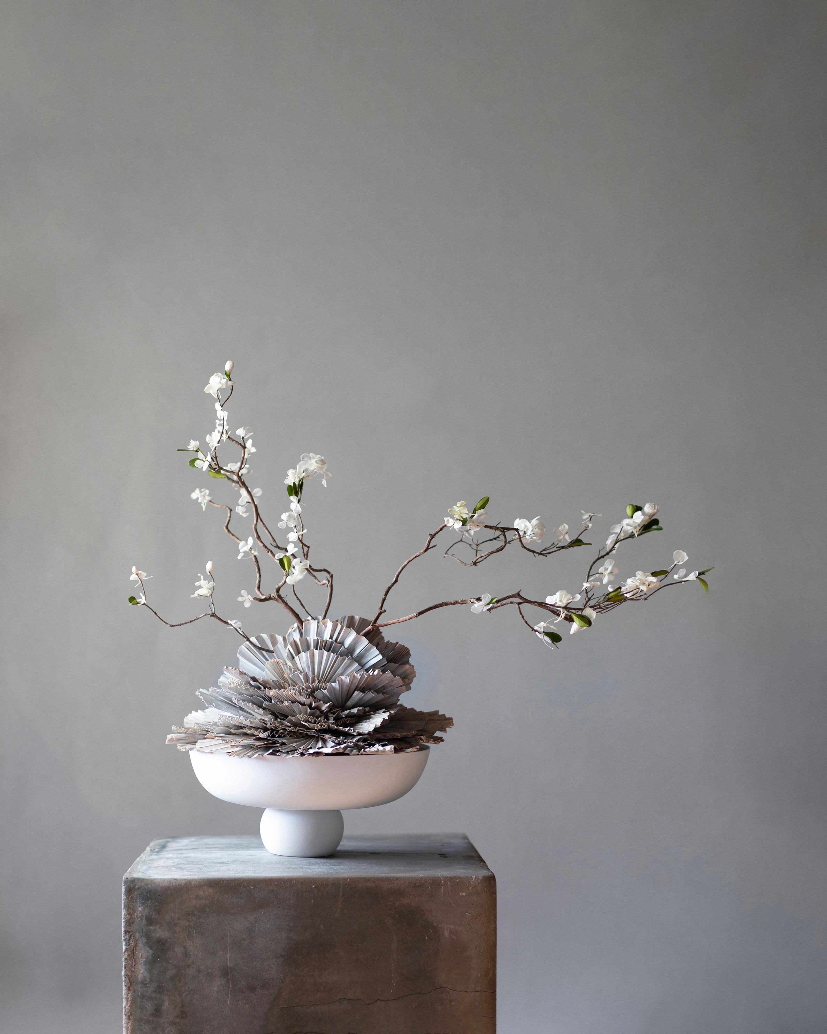 101 Copenhagen - Baburu Bowl, Medio - Bone White - Bowl