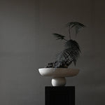 101 Copenhagen - Baburu Bowl, Big - Birch - Bowl