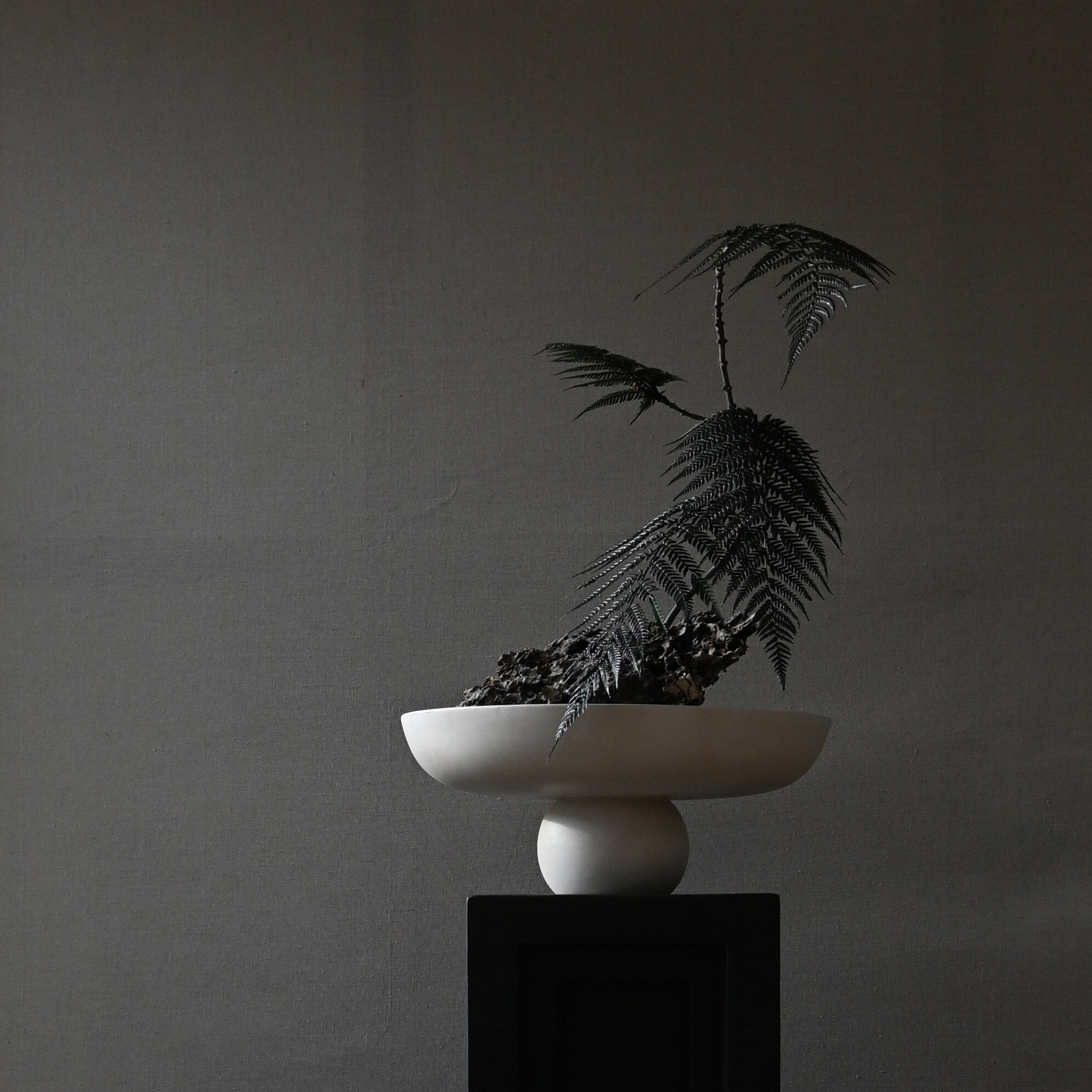 101 Copenhagen - Baburu Bowl, Big - Birch - Bowl