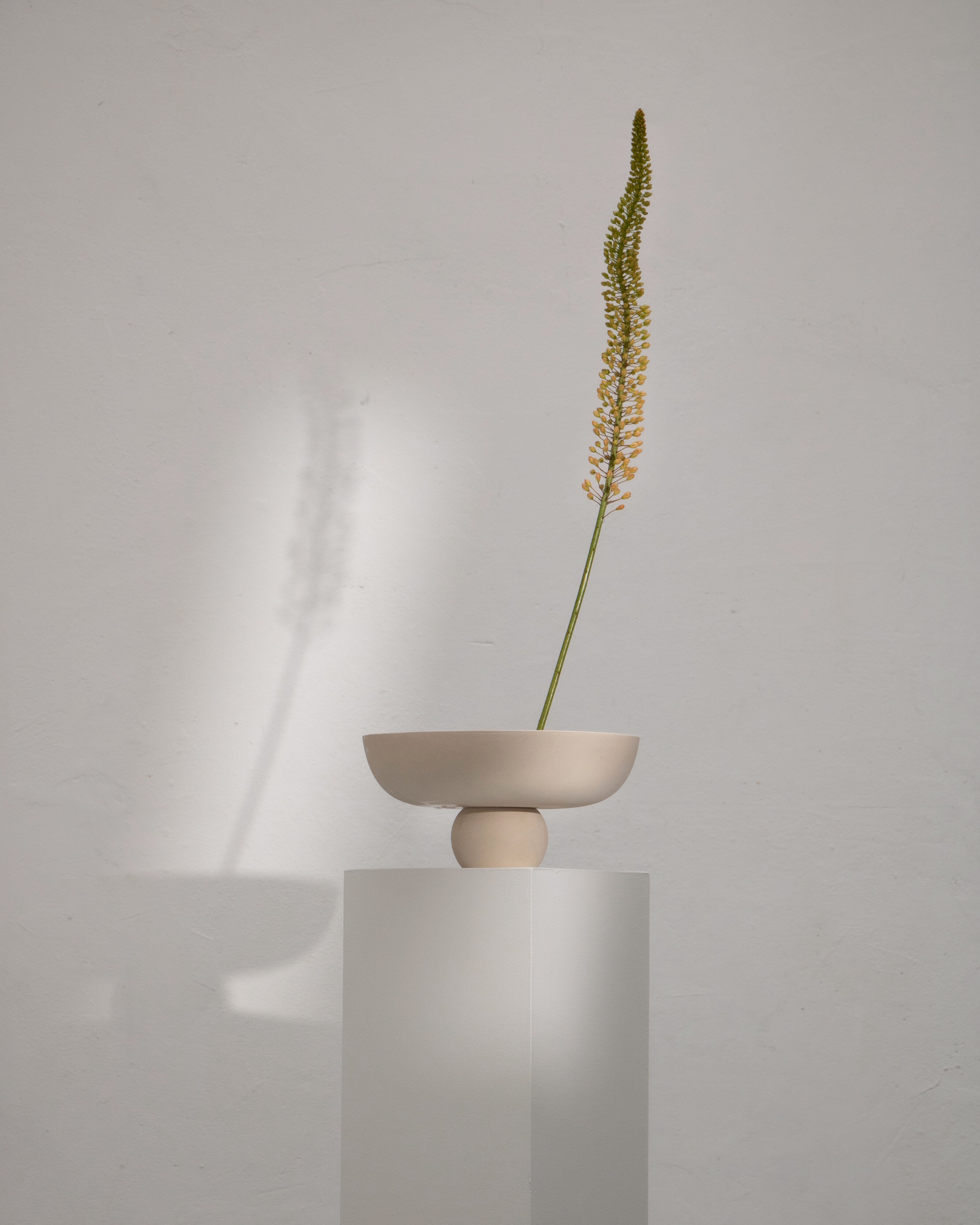 101 Copenhagen - Baburu Bowl, Medio - Birch - Bowl