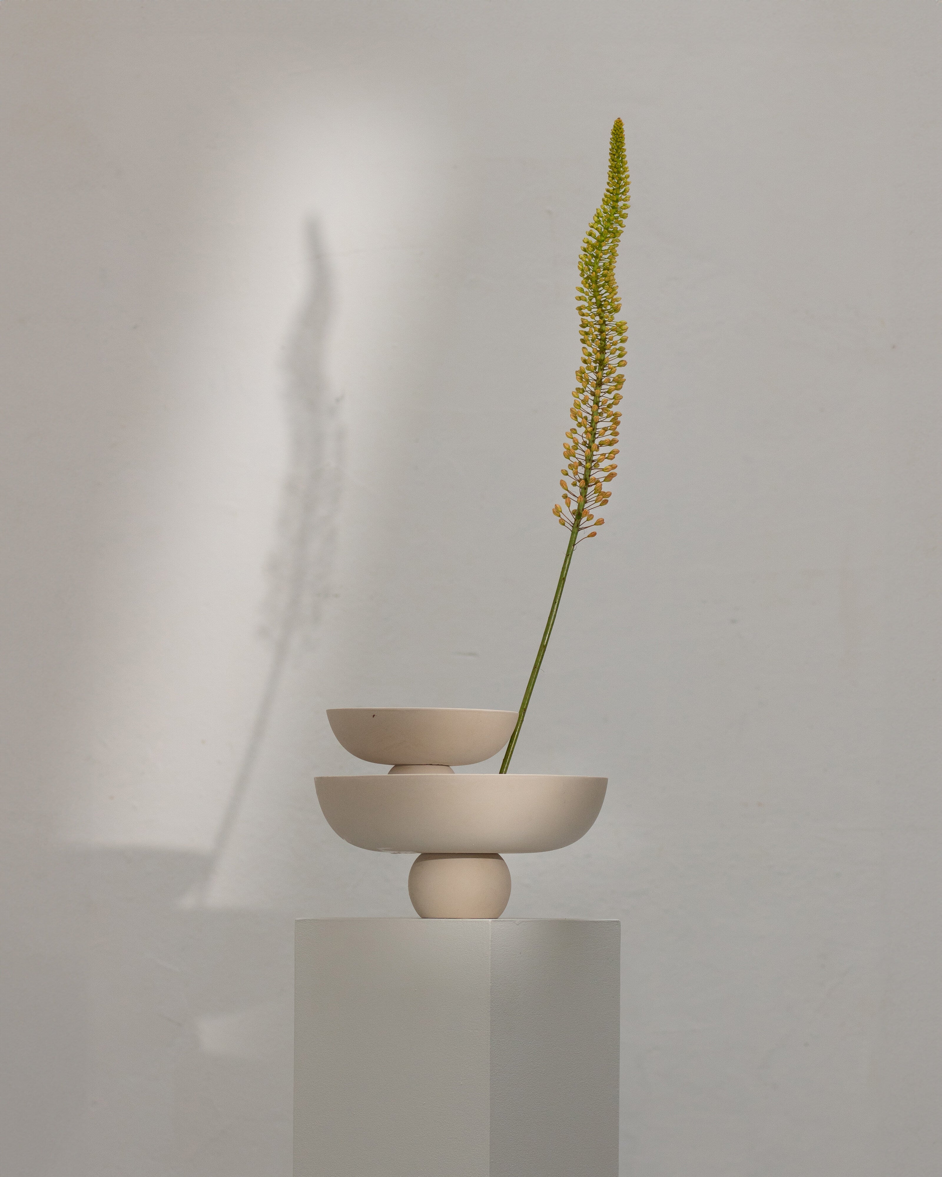 101 Copenhagen - Baburu Bowl, Mini - Birch - Bowl