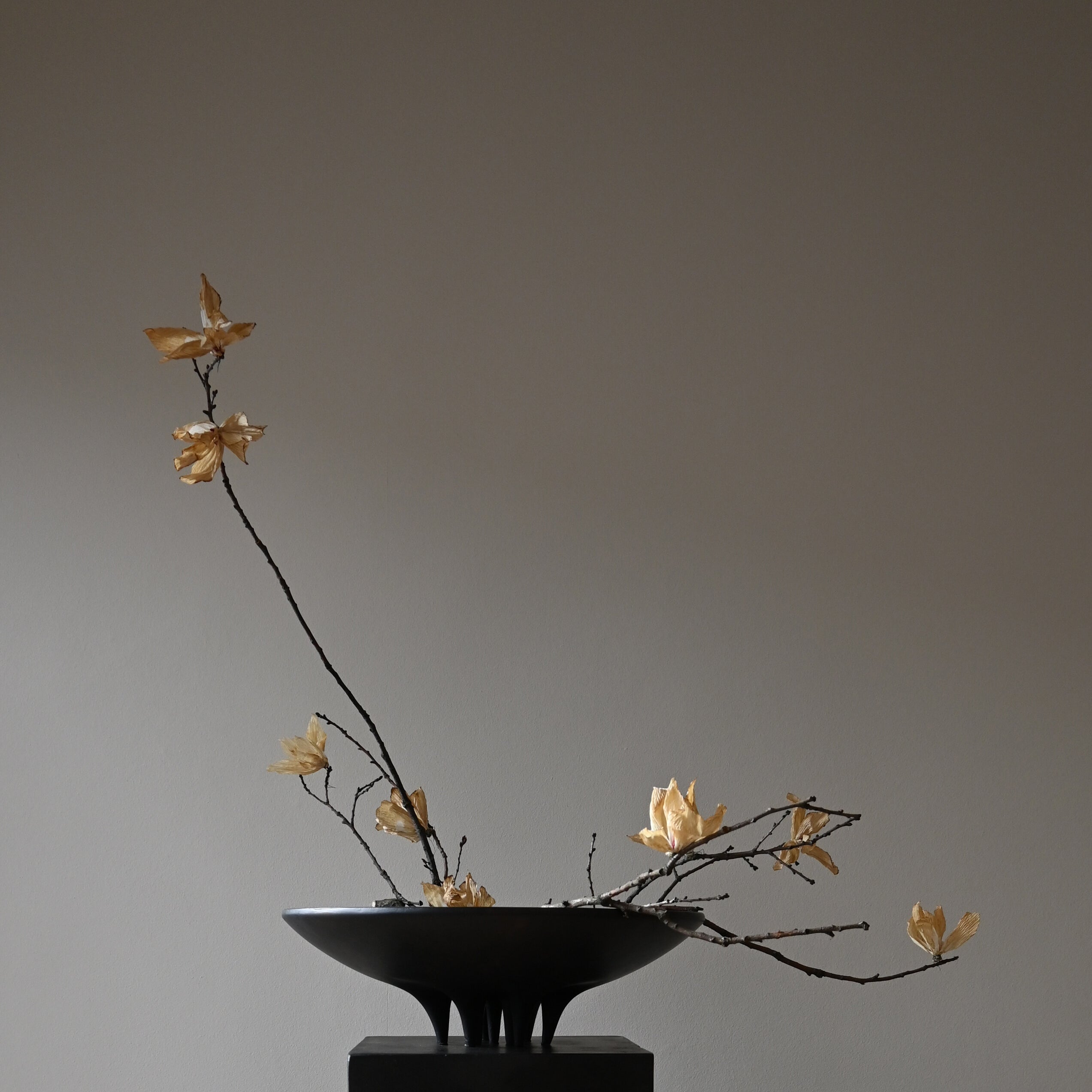 101 Copenhagen - Medusa Tray, Big - Coffee - Tray