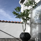 101 Copenhagen - Sunao Plant Pot Fat, Hexa - Black - Plant Pot