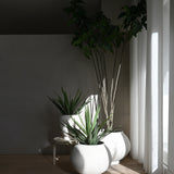 101 Copenhagen - Sunao Plant Pot Fat, Big - Birch - Plant Pot