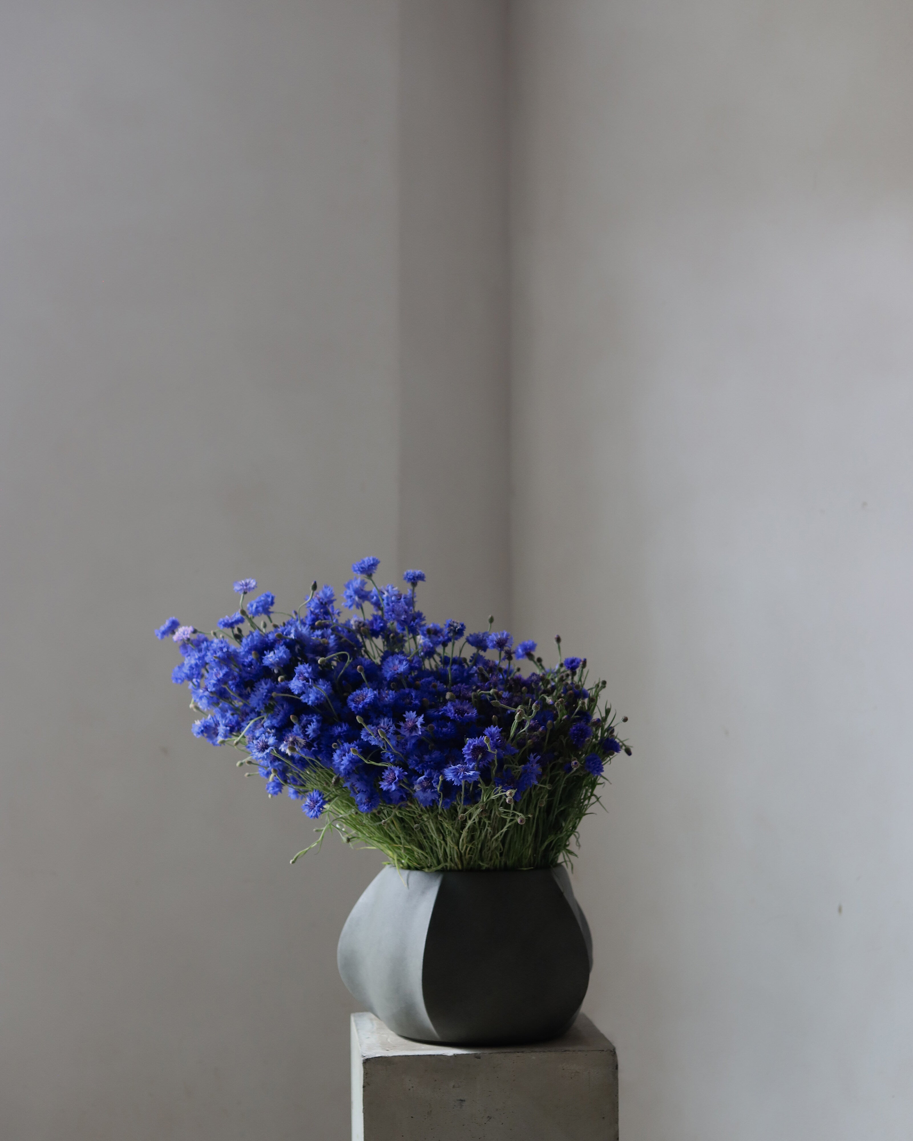 101 Copenhagen - Arket Plant Pot, Mini - Dark Grey - Plant Pot