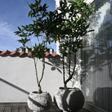 101 Copenhagen - Urchin Plant Pot, Big - Beehive - Plant Pot