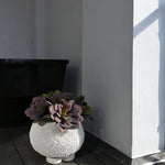 101 Copenhagen - Urchin Plant Pot, Mini - Beehive - Plant Pot