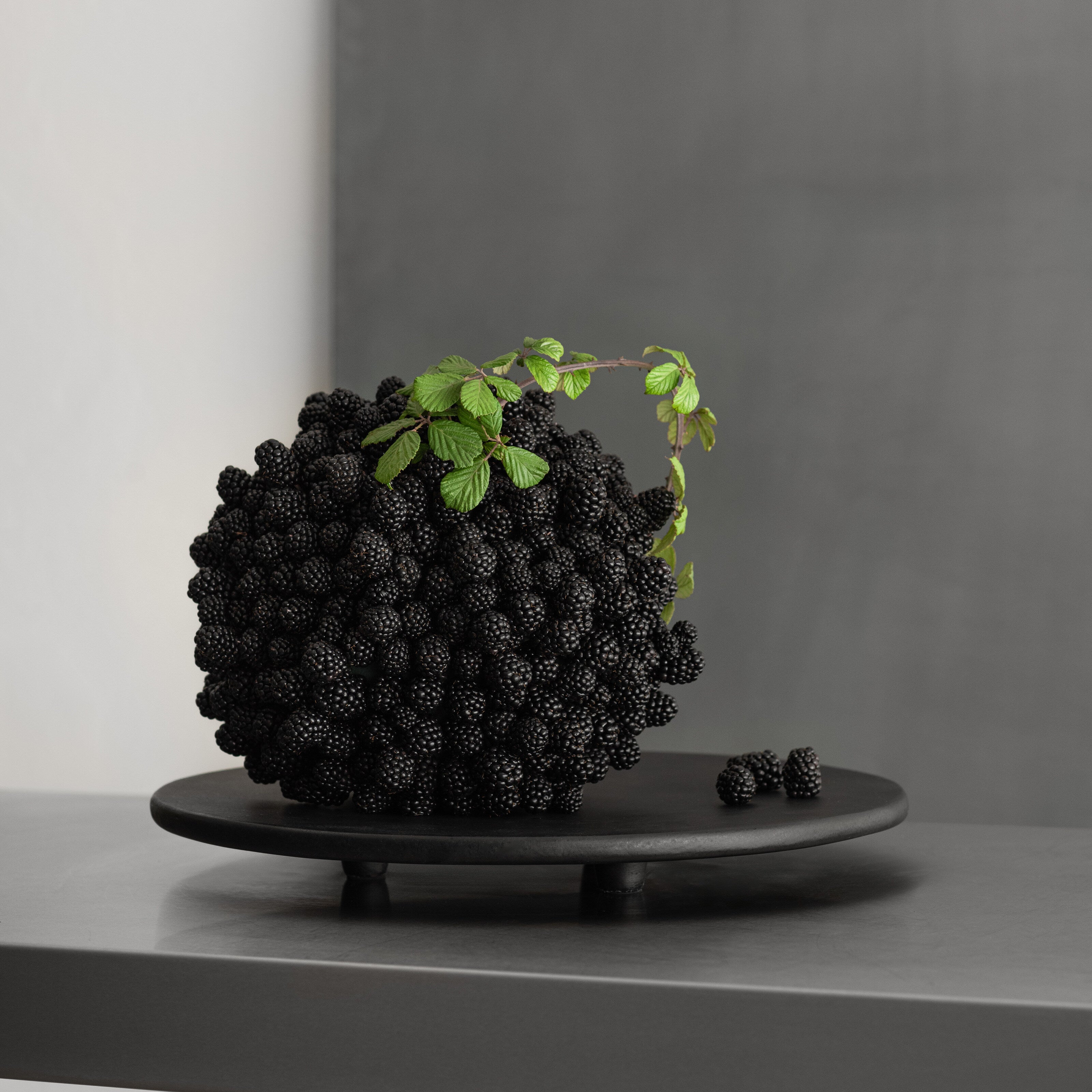 101 Copenhagen - Duck Tray, Small - Coffee - Tray