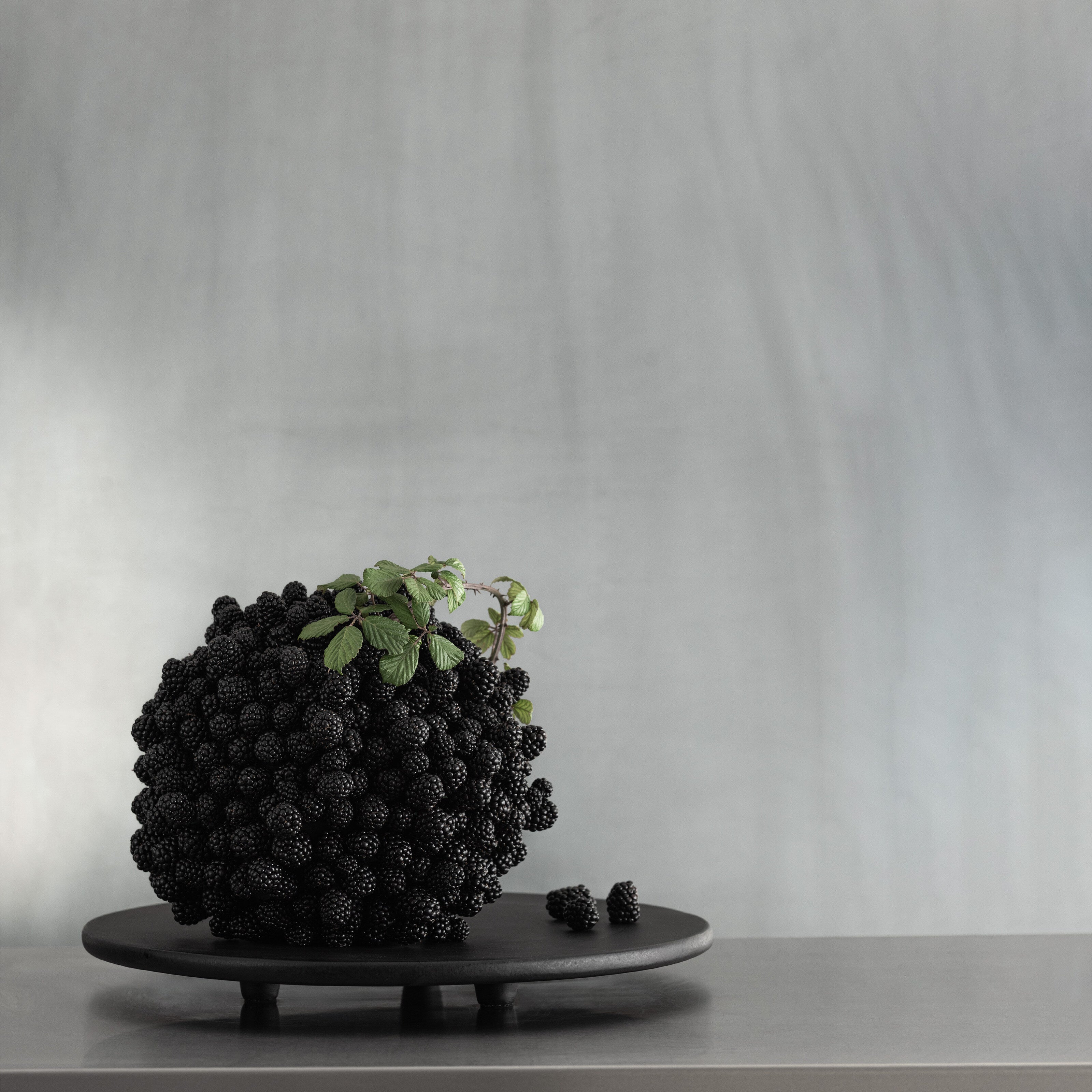 101 Copenhagen - Duck Tray, Small - Coffee - Tray