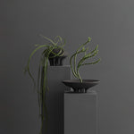 101 Copenhagen - Medusa Vase, Mini - Coffee - Vase