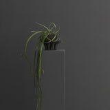 101 Copenhagen - Medusa Vase, Mini - Coffee - Vase