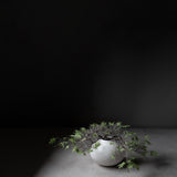 101 Copenhagen - Sunao Vase Fat, Mini - Birch - Vase