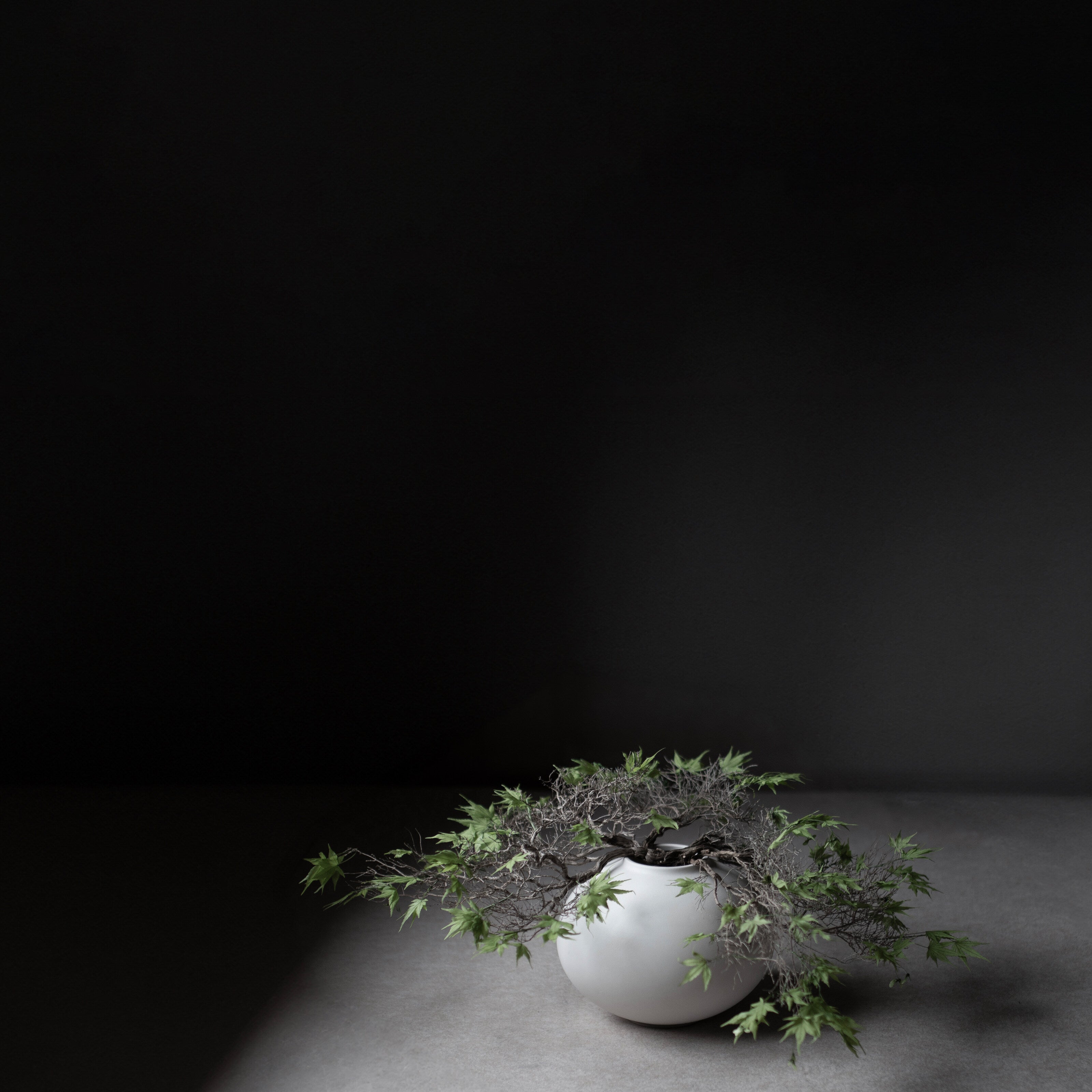 101 Copenhagen - Sunao Vase Fat, Mini - Birch - Vase