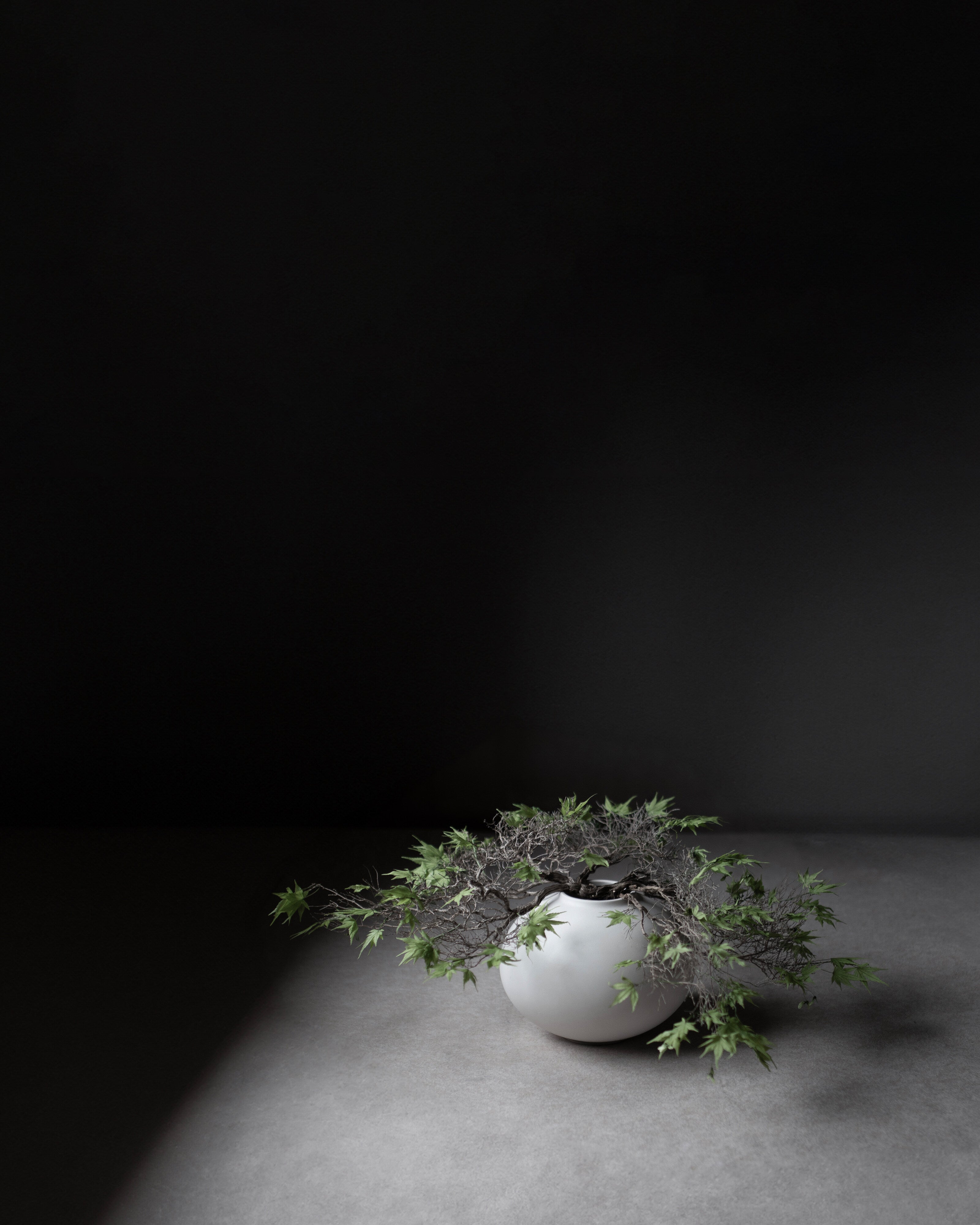 101 Copenhagen - Sunao Vase Fat, Mini - Birch - Vase