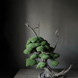 101 Copenhagen - Enkei Tray, Maxi - Earth - Tray