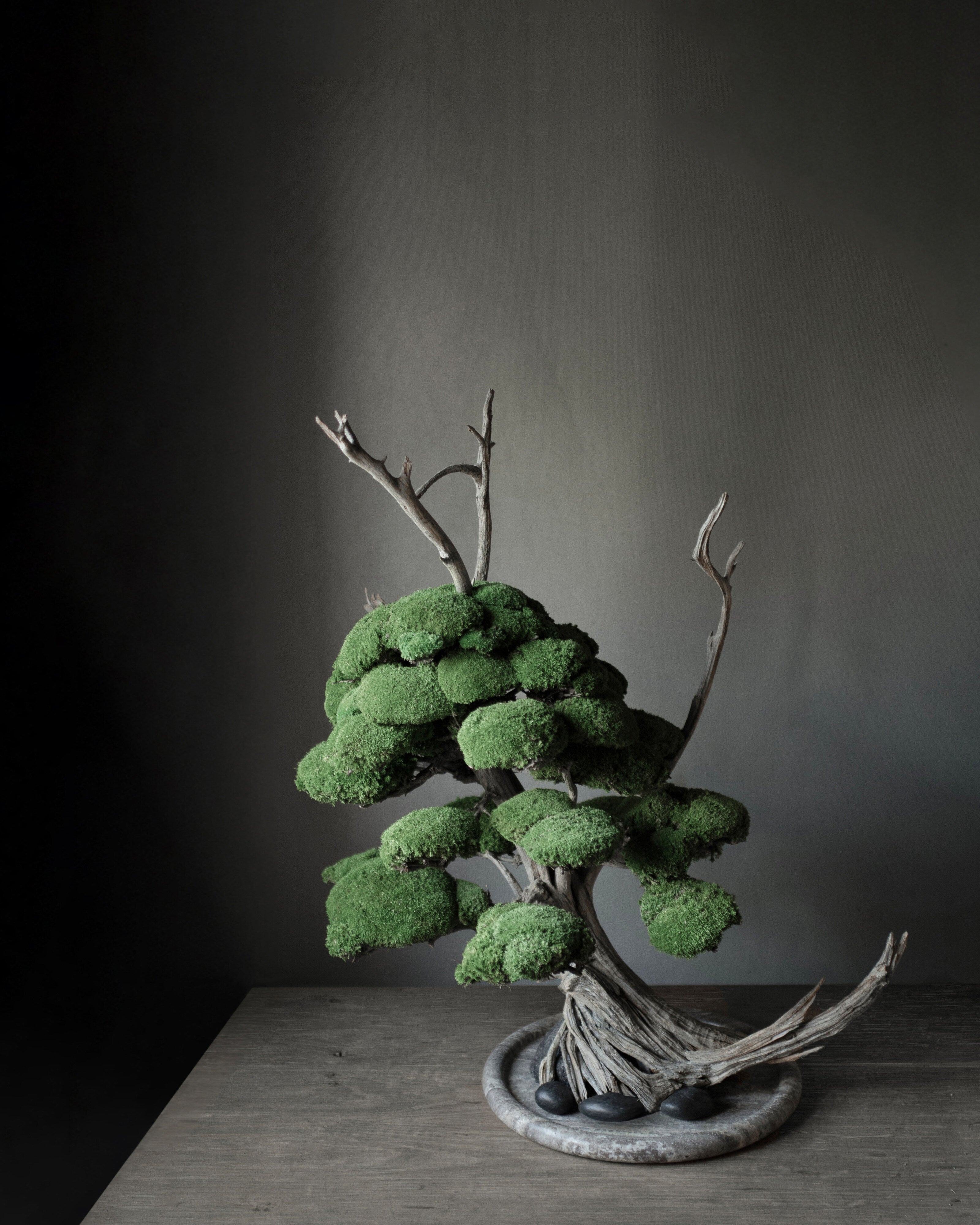 101 Copenhagen - Enkei Tray, Maxi - Earth - Tray