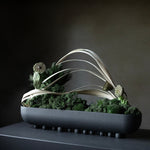 101 Copenhagen - Shinju Tray, Big - Coffee - Tray