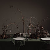 Native Dinner Set - Birch