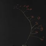 101 Copenhagen - Oka Tray - Coffee - Tray