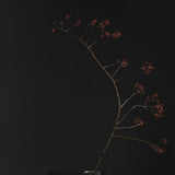 101 Copenhagen - Oka Tray - Coffee - Tray