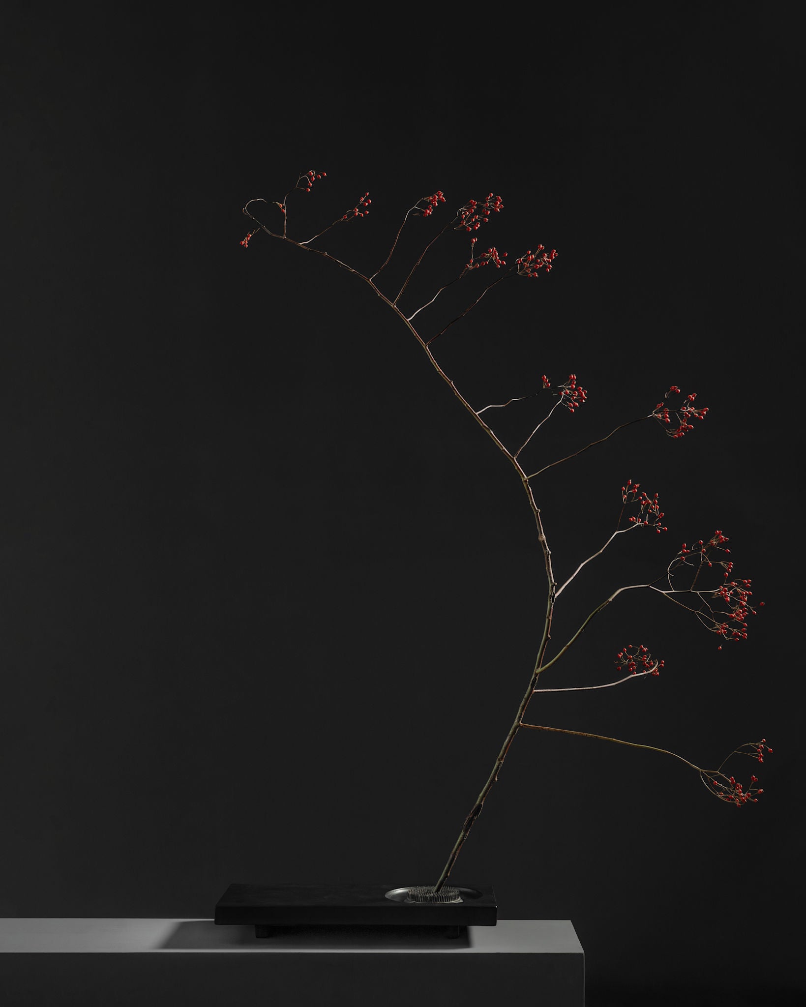 101 Copenhagen - Oka Tray - Coffee - Tray