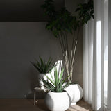 101 Copenhagen - Sunao Plant Pot, Medio - Birch - Outdoor