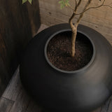 Sunao Plant Pot Ellipse, Giant - Black