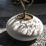 Sunao Plant Pot Ellipse, Giant  - Birch