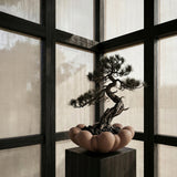 Bloom Tray, Big - Almond