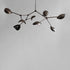 101 Copenhagen - Stingray Chandelier, Grande - Bronze - Chandelier