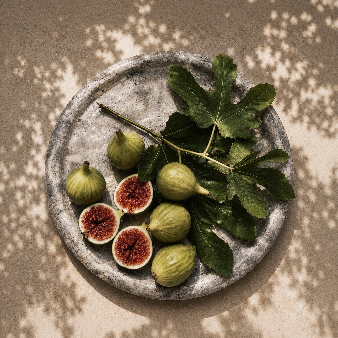 Enkei Tray, Maxi - Earth