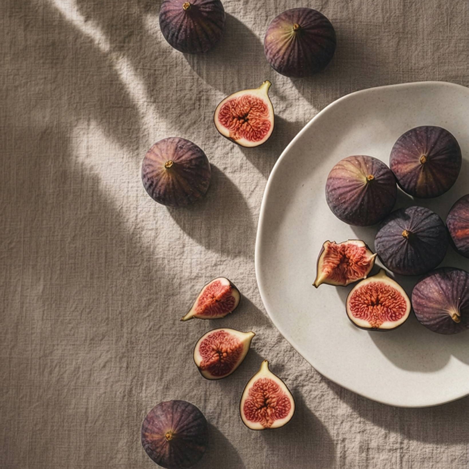 Native Lunch/Dessert Plate - Birch