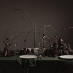 101 Copenhagen - Native Dinner Set - Birch - Plate