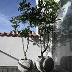 101 Copenhagen - Urchin Plant Pot, Big - Beehive - Outdoor