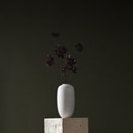 101 Copenhagen - Sunao Vase Slim, Mini - Birch - Vase