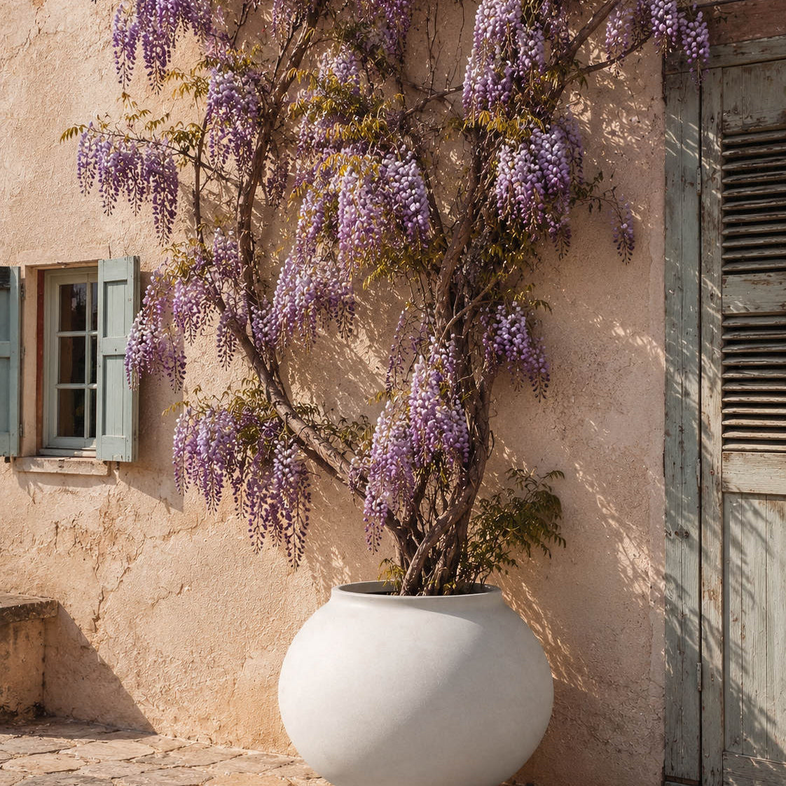 Sunao Plant Pot Fat, Hexa - Birch