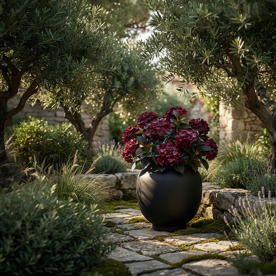 A large matte black Sunao plant pot filled with deep burgundy hydrangea flowers, placed on a stone pathway in a lush garden with olive trees and greenery.