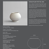 101 Copenhagen - Sunao Plant Pot Fat, Big - Birch - Plant Pot