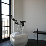 101 Copenhagen - Ishi Coffee Table, Medio - High Glaze Birch - Coffee or Side Table