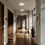 Chameleon Wall Lamp - Burned Black